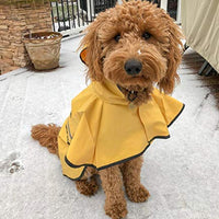 Fashion Pet días lluviosos Slicker Amarillo Raincoat - BESTMASCOTA.COM