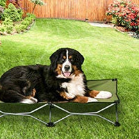 Carlson Pet Products - Cama portátil para mascotas, color verde - BESTMASCOTA.COM