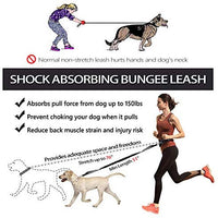 Correa para perro de LANNEY, manos libres, para correr, caminar, correr, entrenar senderismo, correa elástica retráctil para perros medianos a grandes, cinturón de cintura ajustable, costuras reflectantes, doble asa - BESTMASCOTA.COM