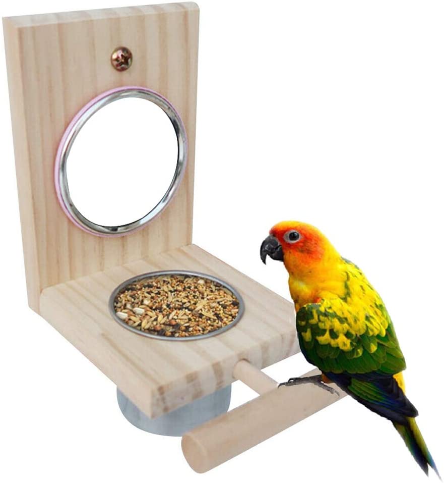 kathson Bird Feeder Parrot Perches Toys Mirror Stand Stainless Steel Food Bowl Cup Cage Accessories Fun Play for Canaries,Parakeet,Cockatiel,Conure,Cockatoo,Lovebirds - BESTMASCOTA.COM