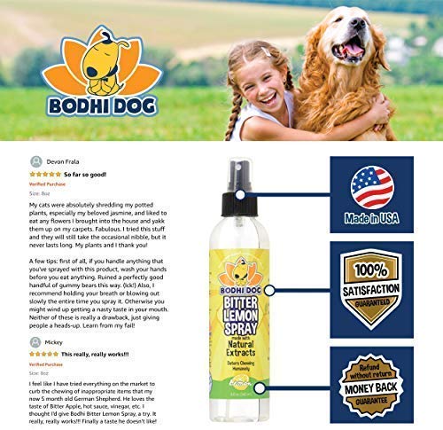 Bodhi Dog Bitter Lemon Spray Stop Biting and Chewing for Puppies Older Dogs and Cats Anti Chew Spray Puppy Kitten Training Treatment 100 Non Toxic Made in USA BESTMASCOTA.COM