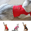 WONDERPUP - Arnés ajustable para gato con correa para caminar, a prueba de escape, malla de aire suave para gatitos, cachorros, conejos, perros pequeños - BESTMASCOTA.COM