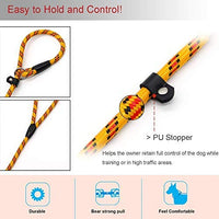 Correa Coolrunner collar de entrenamiento para mascota de Cesar el encantador de perros - BESTMASCOTA.COM