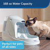 PetSafe Drinkwell Fuente de agua para gatos y perros – Platino, 1/2 o 1 galón para mascotas – 64 oz, 128 oz o 168 oz - BESTMASCOTA.COM