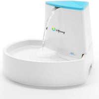 isYoung Fuente para mascotas, fuente de agua automática para perros y gatos, de 2,5 l - BESTMASCOTA.COM