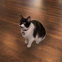 SFL Industries SureFlap and SureFeed RFID - Cuello de mascota con microchip - BESTMASCOTA.COM