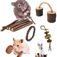 Juguetes para mascotas de cobaya, manzana natural y abedul, divertido juguete para ejercitar mancuernas, mantiene a tu pequeña mascota más cerca de la naturaleza, cuidado de los dientes molar, para chinchilla hámster conejos, pájaro, rata, gerbo. - BESTMASCOTA.COM