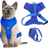 Arnés para gato acolchado y resistente al agua Dexil - BESTMASCOTA.COM