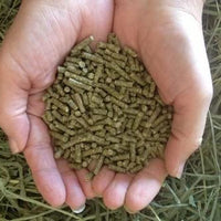 Pellets de comida pequeña para cobayas - BESTMASCOTA.COM