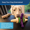 Juguete para perro PetSafe Busy Buddy Jack, juguete para masticar con dulces - BESTMASCOTA.COM