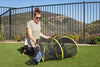 Outback Jack Outdoor Cat Enclosures For Indoor Cats [Portable Cat Tent, Cat Tunnel, and Playhouse] (Play Tents for Cats and Small Animals) - BESTMASCOTA.COM