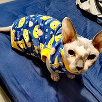 Sphynx - Camisetas de algodón para mascotas con cuello redondo, sin mangas, para gatos y perros pequeños - BESTMASCOTA.COM