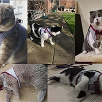 Cat Harness and Leash Set, Leash Adjustable Comfortable Soft Harness Jacket Vest, for Cats Puppy Safety Walk/Run - BESTMASCOTA.COM