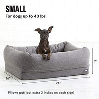 BarkBox - Cama de espuma viscoelástica para perro, alivio de articulaciones ortopédicas de felpa, 2 – 1 caja o cama de almohada, lavable a máquina + funda extraíble; forro impermeable, incluye juguete chirriador - BESTMASCOTA.COM