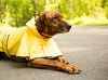 Fashion Pet días lluviosos Slicker Amarillo Raincoat - BESTMASCOTA.COM