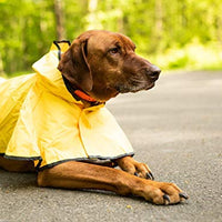 Fashion Pet días lluviosos Slicker Amarillo Raincoat - BESTMASCOTA.COM