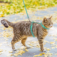 SCIROKKO - Arnés y correa para gato – a prueba de escape ajustable para caminar al aire libre con hebilla de seguridad - BESTMASCOTA.COM