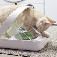 SureFeed Microchip Comedero para mascotas - BESTMASCOTA.COM