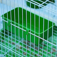 Litewood – Comedero de alimentos para pájaros con forma de plato de agua para loro, macaw africano grises presupuestos, parakeet, cacatúa, conserva, canario - BESTMASCOTA.COM