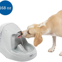 PetSafe Drinkwell Fuente de agua para gatos y perros – Platino, 1/2 o 1 galón para mascotas – 64 oz, 128 oz o 168 oz - BESTMASCOTA.COM