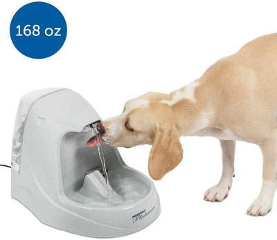 PetSafe Drinkwell Fuente de agua para gatos y perros – Platino, 1/2 o 1 galón para mascotas – 64 oz, 128 oz o 168 oz - BESTMASCOTA.COM
