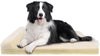 JoicyCo - Cama grande para perros, para perros grandes, camas de espuma antideslizante, con funda lavable - BESTMASCOTA.COM