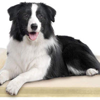 JoicyCo - Cama grande para perros, para perros grandes, camas de espuma antideslizante, con funda lavable - BESTMASCOTA.COM
