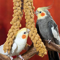 Nemeth Farms Worlds - Spray de mijo original para pájaros y suplemento no transgénicos para todas las aves de mascotas, parakeets, cockatiels, Lovebirds y Finches - BESTMASCOTA.COM