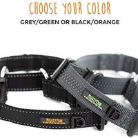 Collar de entrenamiento de nailon Mighty Paw Martingale. Nuestro collar de zapatillas de entrenamiento aprobado limitado. Collar de cincha modificado para una fuerza controlada para un entrenamiento óptimo. Costuras reflectantes para mantener a tu perro s - BESTMASCOTA.COM