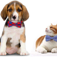 Freewindo - Pajaritas ajustables para perros, 9 unidades, para perros pequeños, medianos y gatos adultos - BESTMASCOTA.COM