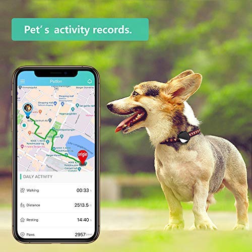 Gps Para Gatos Perros Mascotas Rastreo En Tiempo Real Con App Móvil