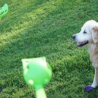 ¡Chuckit! Lanzador deportivo de pelotas para perro. - BESTMASCOTA.COM