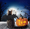 Idepet - Disfraz de Halloween para perro, 8 alas de araña, color morado, para cachorros - BESTMASCOTA.COM