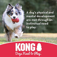 Kong - Flyer - Disco volador de goma durable juguete para perro - BESTMASCOTA.COM