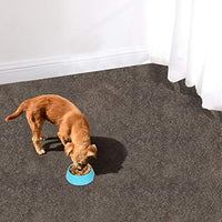 Cibicon - Alfombrillas de cama para perros y cachorros, para mascotas, cómodas y suaves, absorbentes, impermeables, reutilizables, lavables, protegen el suelo - BESTMASCOTA.COM