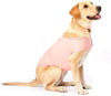 Furubaby Ansiety - Abrigo para perro con camisa, para perros pequeños, medianos, grandes, XL, color sólido, azul, gris, verde, rosa, rosa (rosa) - BESTMASCOTA.COM