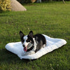 ANWA Dog Bed Pet Cushion Crate Mat Soft Pad Washable and Cozy for Medium Large Dog - BESTMASCOTA.COM