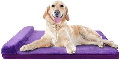 JoicyCo - Cama grande para perros, para perros grandes, camas de espuma antideslizante, con funda lavable - BESTMASCOTA.COM