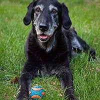 CHUCKIT Pelota ultra chirriadora para perros pequeños, pequeña - BESTMASCOTA.COM