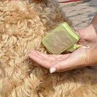 Safari by Coastal - Cortador de pelo con pasadores retráctiles de acero inoxidable para todos los abrigos, ideal para perros con pelo de Wirey - BESTMASCOTA.COM