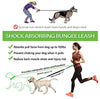 Correa para perro de LANNEY, manos libres, para correr, caminar, correr, entrenar senderismo, correa elástica retráctil para perros medianos a grandes, cinturón de cintura ajustable, costuras reflectantes, doble asa - BESTMASCOTA.COM