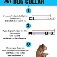 Collar de perro personalizado con texto y arte de alta definición, una alternativa de collar de perro bordado – Fabricado en los Estados Unidos – Disponible en 7 tamaños y 21 colores - BESTMASCOTA.COM