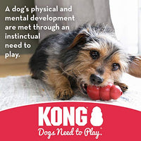 Juguete para perros en forma de neumático, de KONG - BESTMASCOTA.COM