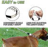 Wellbro collar de entrenamiento con dientes de metal para perros grandes y medianos (Pit Bull, pastor alemán), con hebilla a presión de liberación rápida y puntas de hule, plateado y regulable - BESTMASCOTA.COM