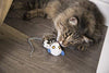 Petlinks System Lemur Lights Cat Toy - BESTMASCOTA.COM