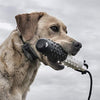 SportDOG Brand 425 - Collar electrónico con control remoto (500 yardas, estático, vibratorio y tono, impermeable, recargable, incluye nueva serie X) - BESTMASCOTA.COM