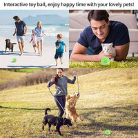 Versión mejorada 2.0: bolas blinkbrione para gatos y perros, enrollado automático/apagado automático, recargable por USB, pelota de juguete interactiva inteligente para gatitos, gatitos, cachorros con luces LED RGB, resistente al agua - BESTMASCOTA.COM