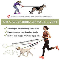 Correa para perro de LANNEY, manos libres, para correr, caminar, correr, entrenar senderismo, correa elástica retráctil para perros medianos a grandes, cinturón de cintura ajustable, costuras reflectantes, doble asa - BESTMASCOTA.COM