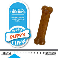 Nylabone Puppy Chew & Dura Chew Peanut Butter Bone Twin Pack Dog Toy - BESTMASCOTA.COM