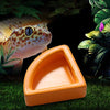 Bowls Gecko Feeding Ledge, Reptile Suction Cup Food Dish for Snakes Lizards Spiders Chameleons Corn Snakes Iguanas Reptiles - BESTMASCOTA.COM